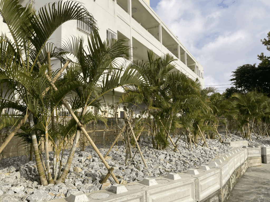 西部側隣接地緑化